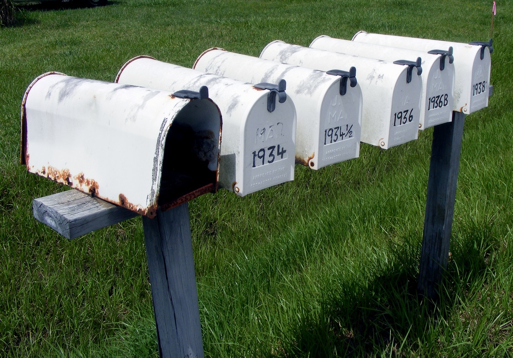 Cover Image of the Post