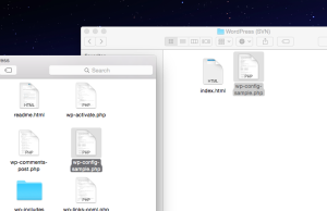 Your WordPress (SVN) folder should have these two files in it.
